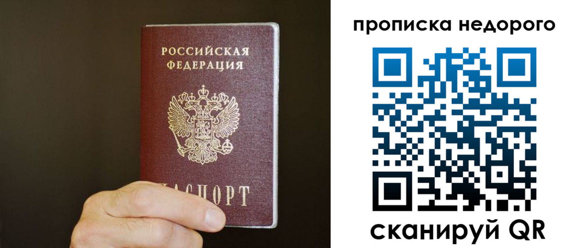 прописка в квартире в Волгоградской области